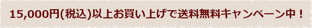 15,000円(税込)以上お買い上げで送料無料キャンペーン中！